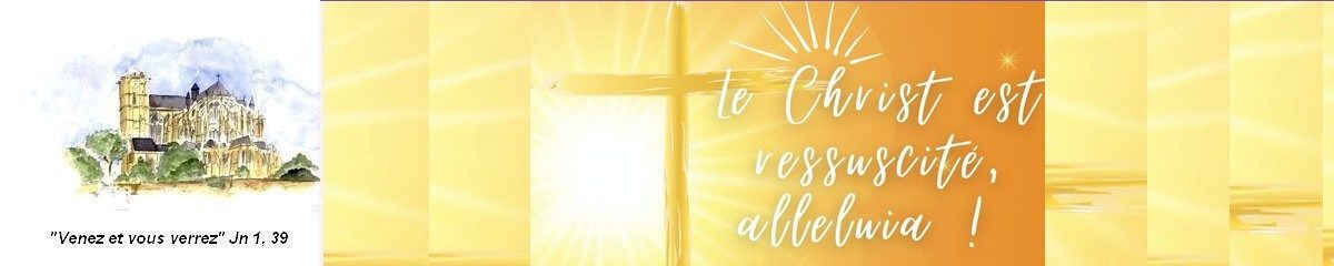 Cathédrale Saint-Julien Le Mans