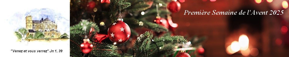 Cathédrale Saint-Julien Le Mans