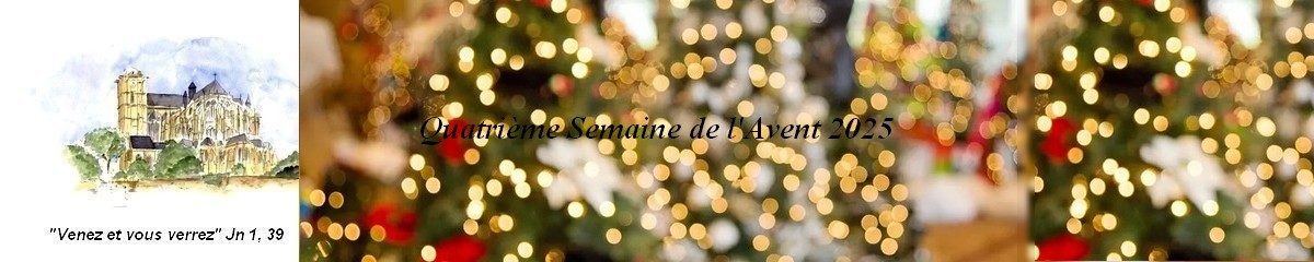 Cathédrale Saint-Julien Le Mans