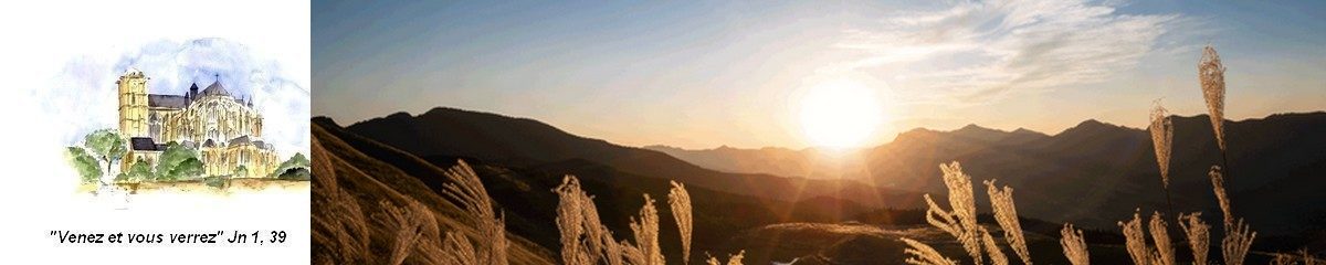 Cathédrale Saint-Julien Le Mans